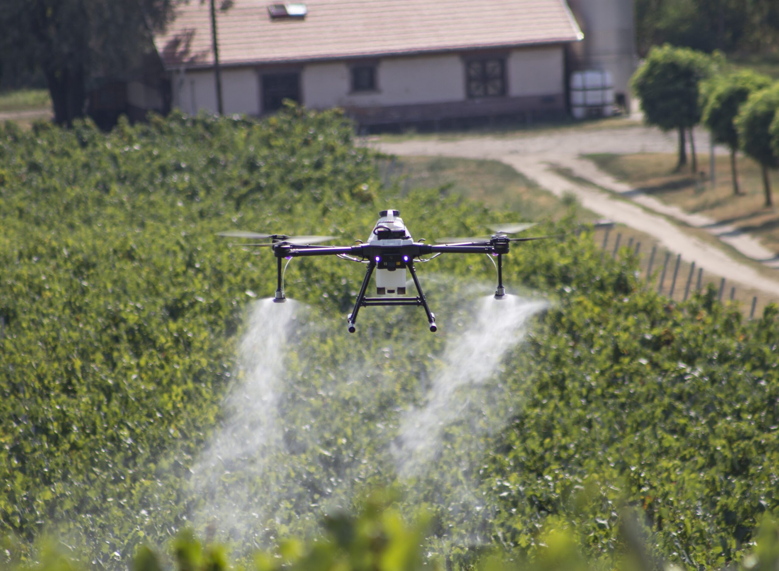 Fungicidal Targeted spraying by drone