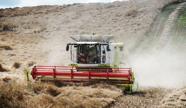 agrisoil