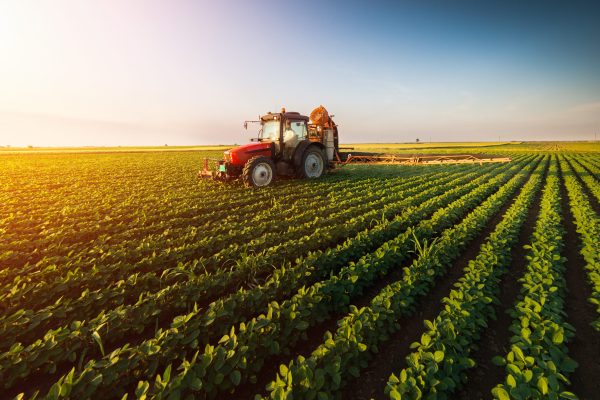 Tractor,Spraying,Pesticides,On,Soybean,Field,With,Sprayer,At,Spring
